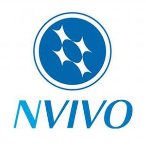 NVivo Icon